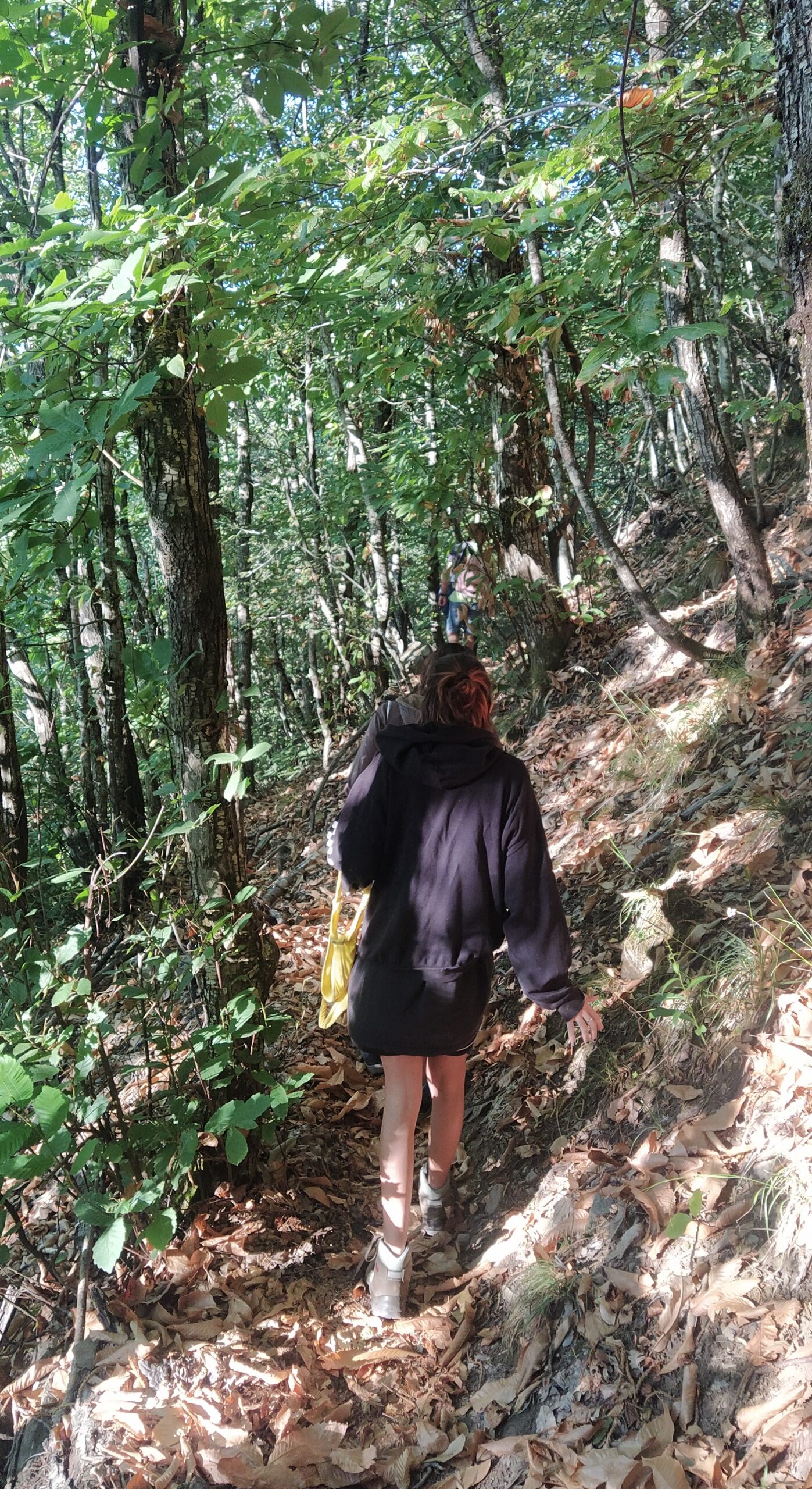 IMG_20210901_182753~2