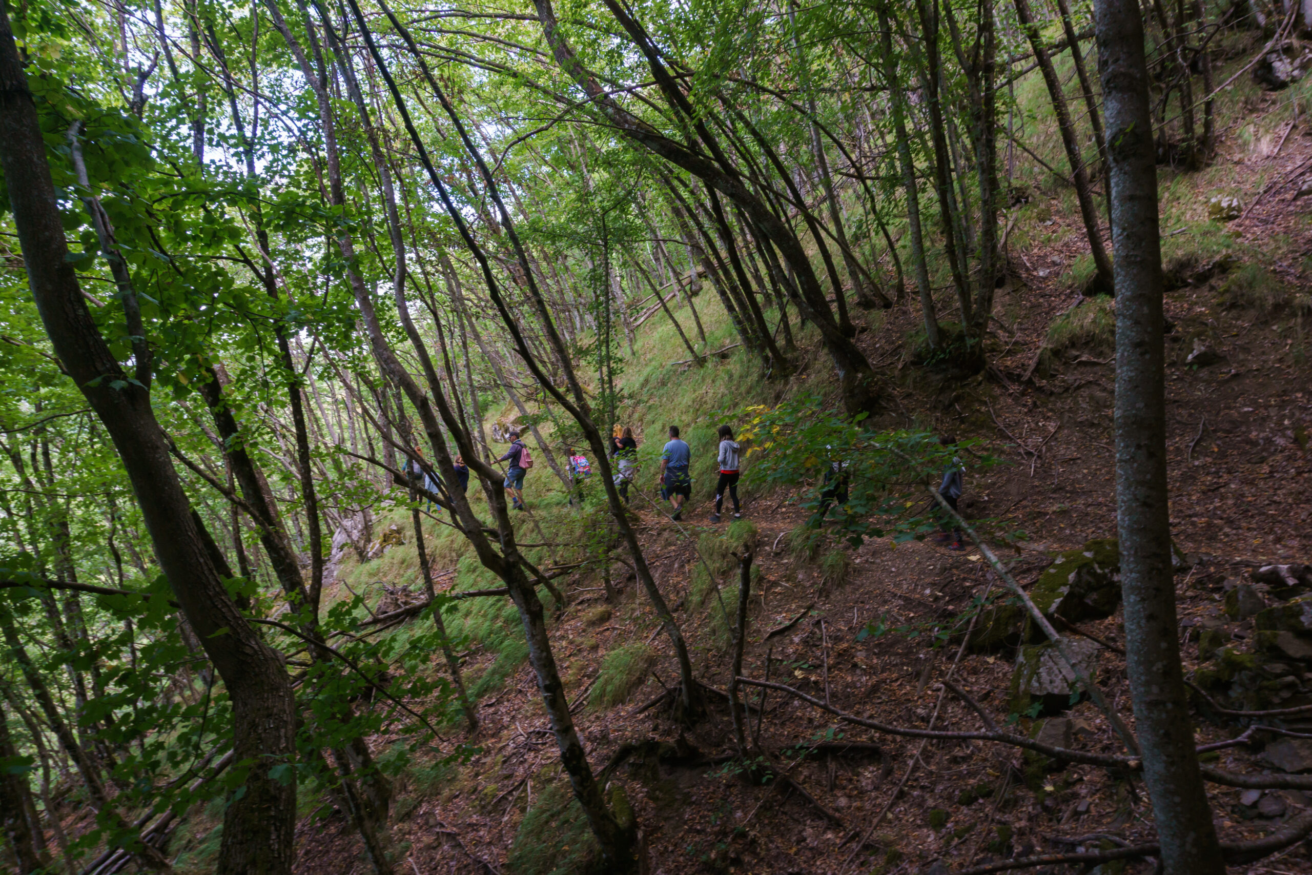 IMG_20210903_104000_DSC00871