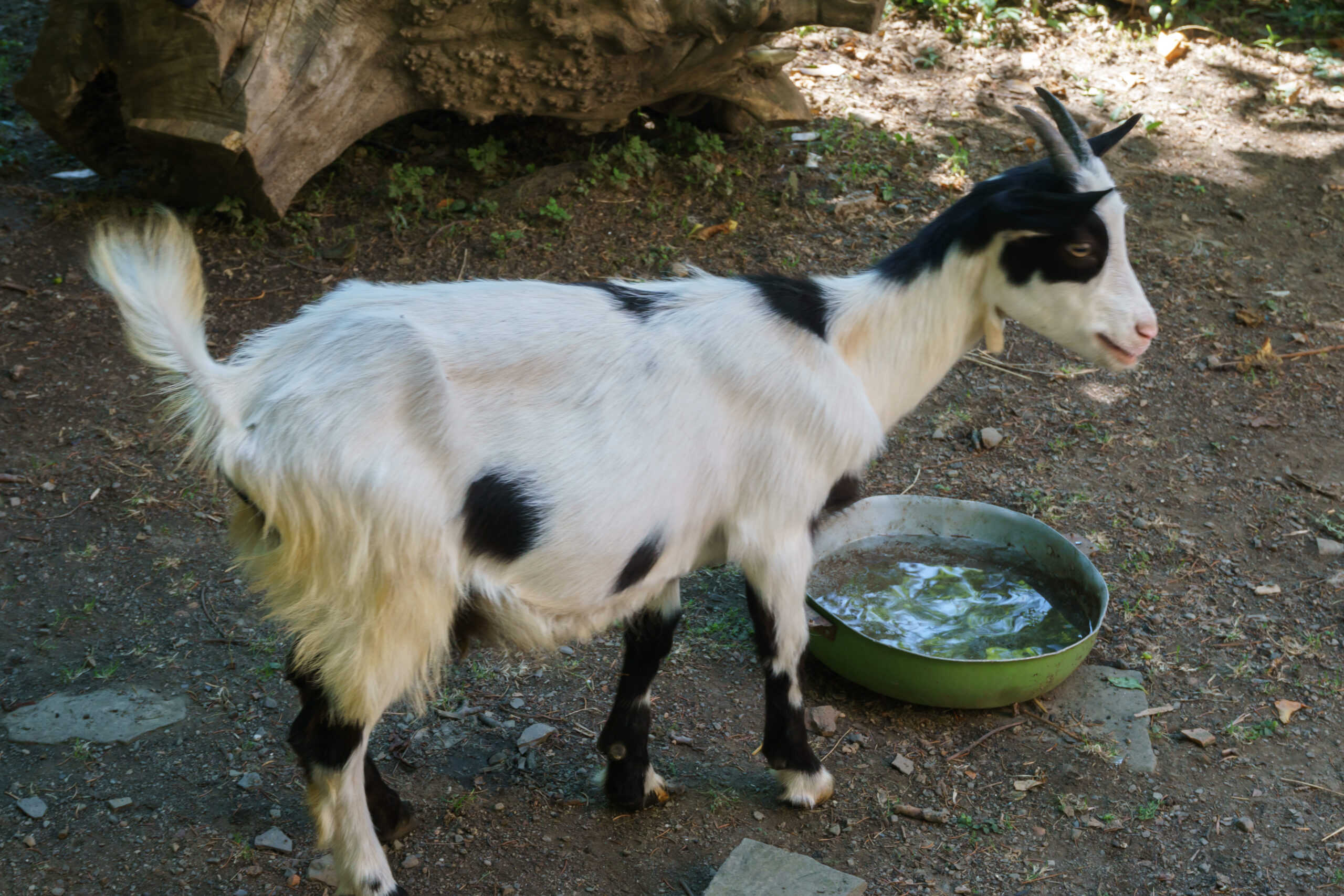 IMG_20210903_124000_DSC00889