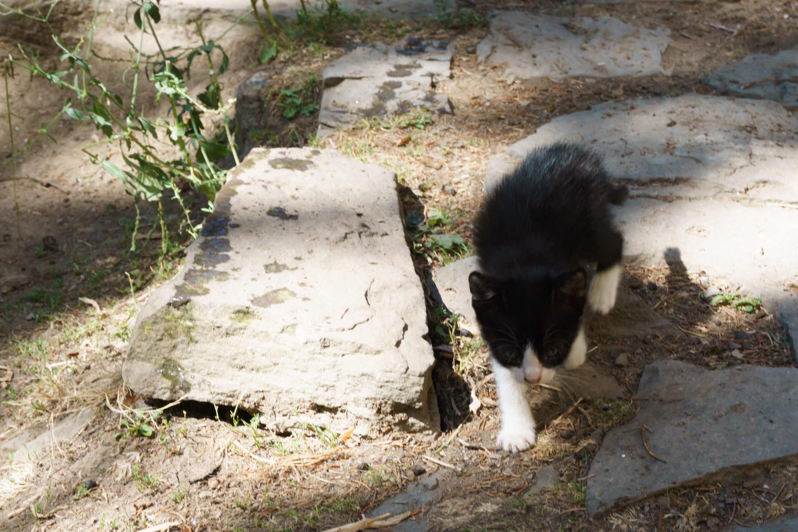 IMG_20210903_124001_DSC00892