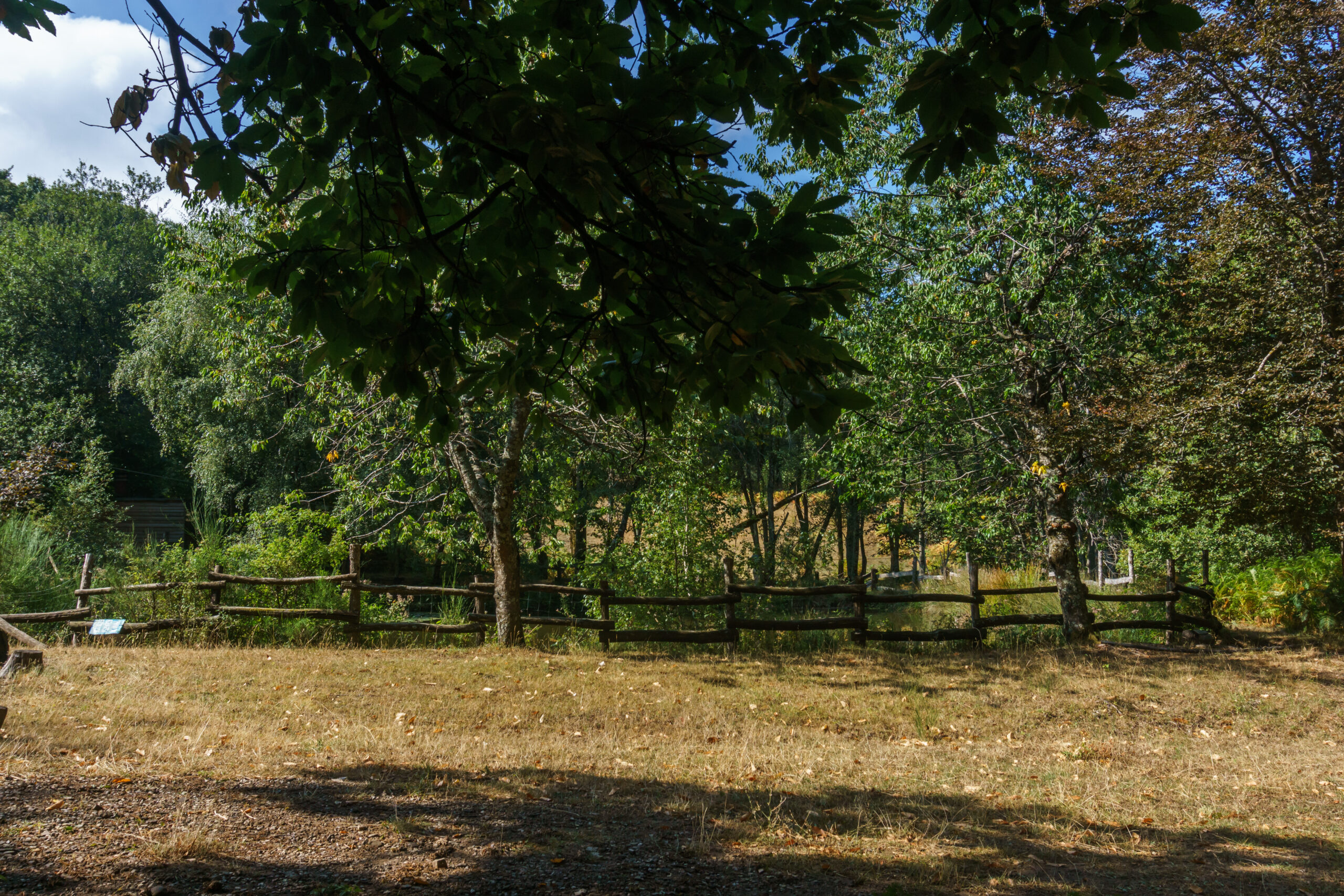 IMG_20210901_103400_DSC00818