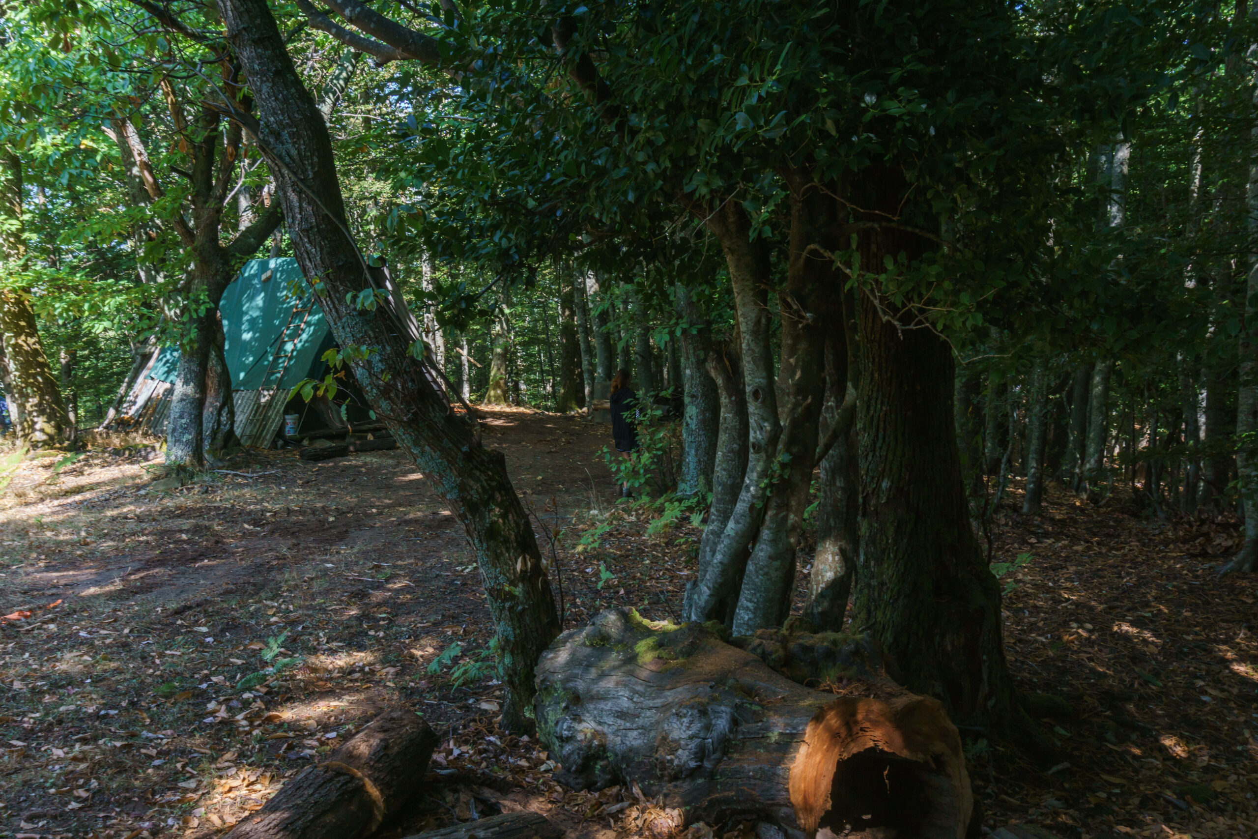 IMG_20210901_103401_DSC00819