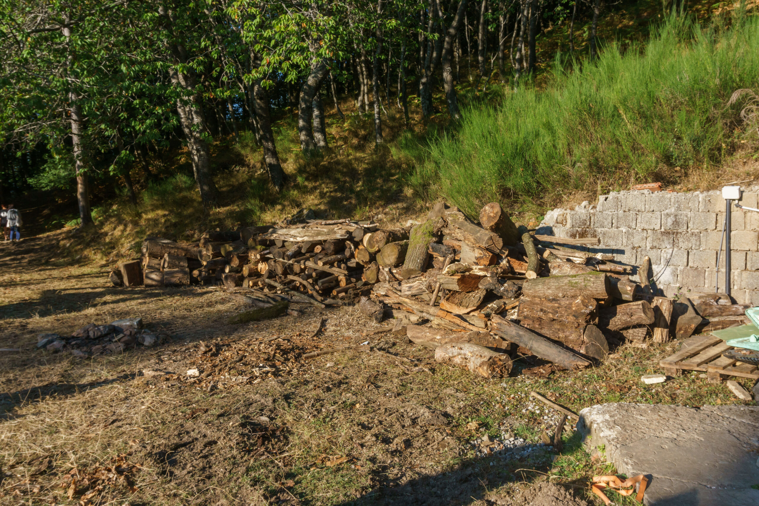 IMG_20210901_180500_DSC00831