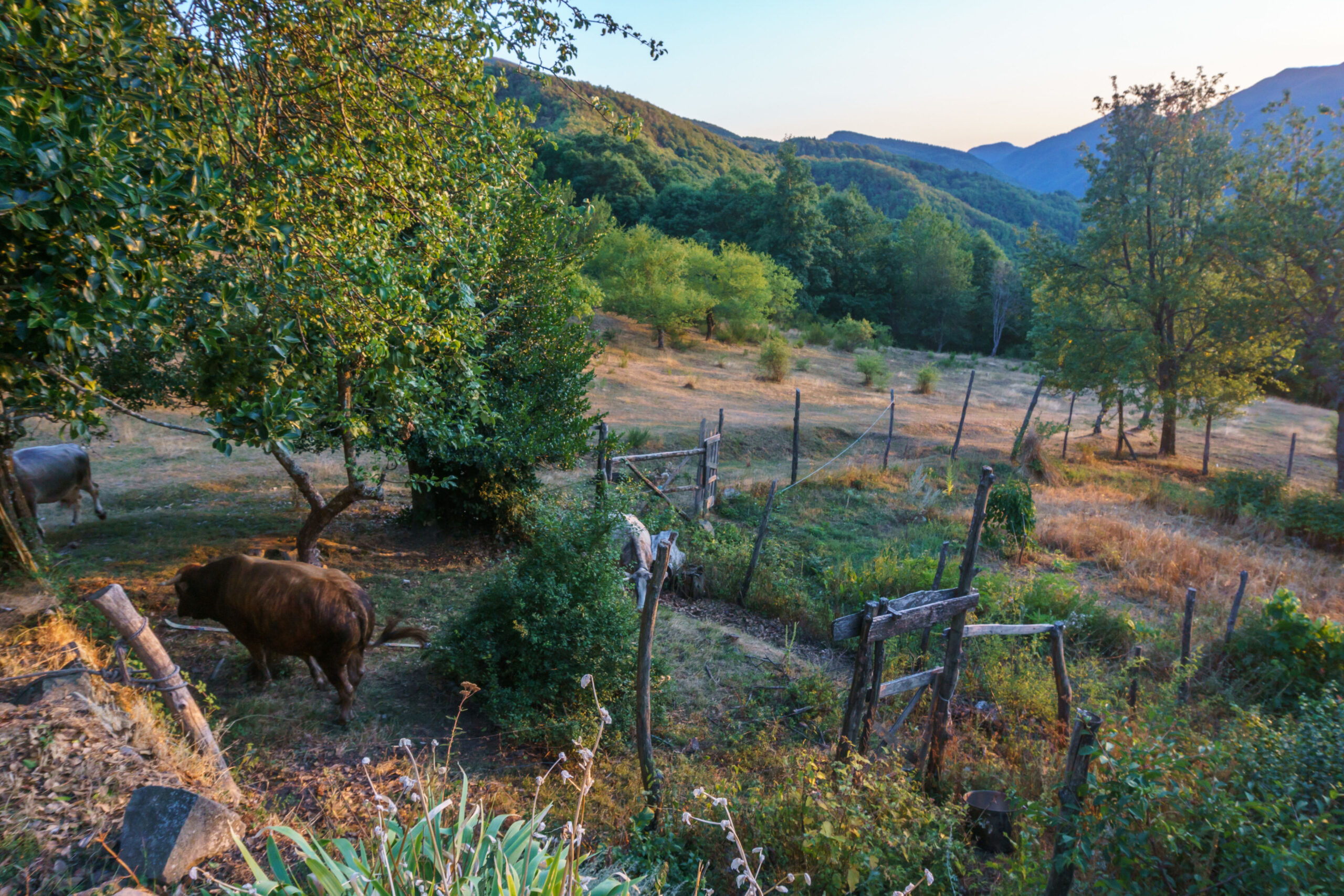 IMG_20210901_193401DSC00844