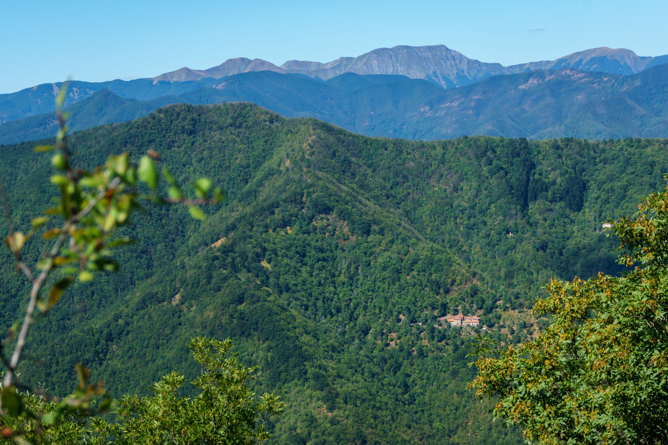 IMG_20210902_122100_DSC00854