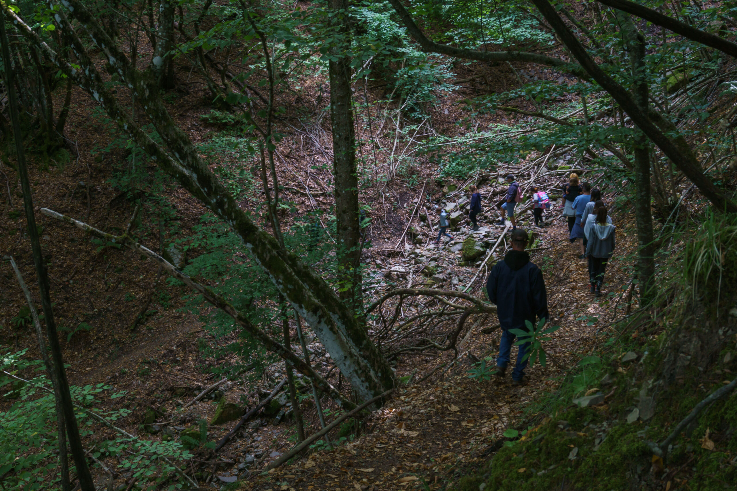 IMG_20210903_103700_DSC00861