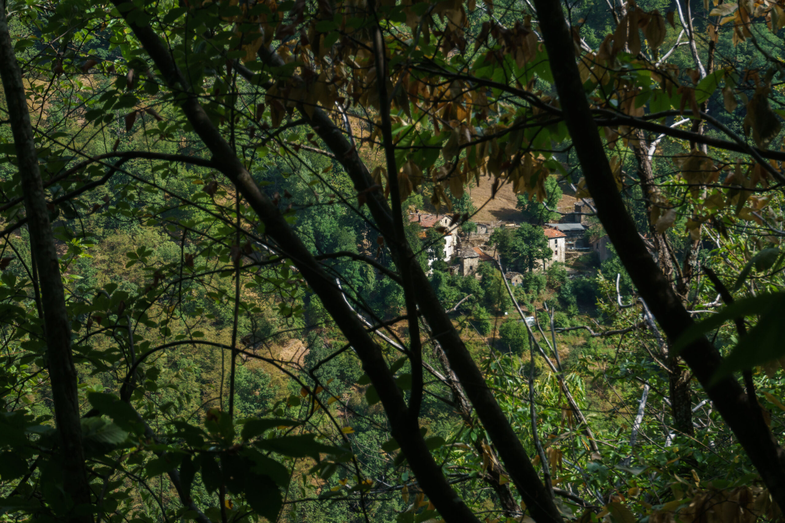 IMG_20210903_110000_DSC00880